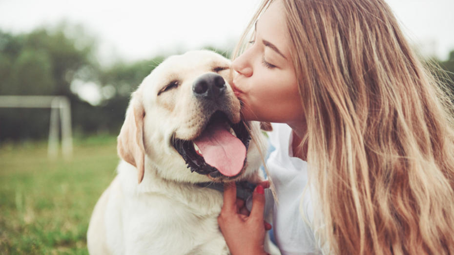 Dog enjoying Happy Heroes supplements for calming and anxiety relief, hip and joint support, immunity and itch relief, probiotics and digestive care, multivitamins, and eye care support.