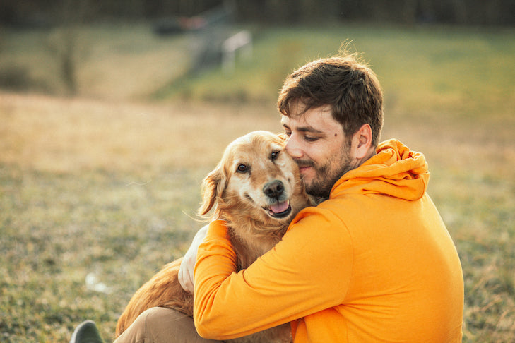 Dog enjoying Happy Heroes supplements for calming and anxiety relief, hip and joint support, immunity and itch relief, probiotics and digestive care, multivitamins, and eye care support.