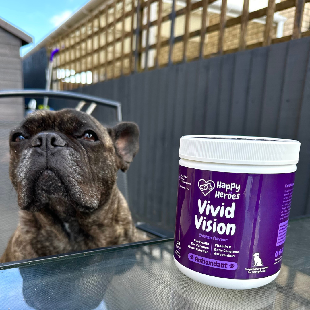 Canine Clarity: Elevate Lifestyle and Health with Vivid Vision Dog Treats!