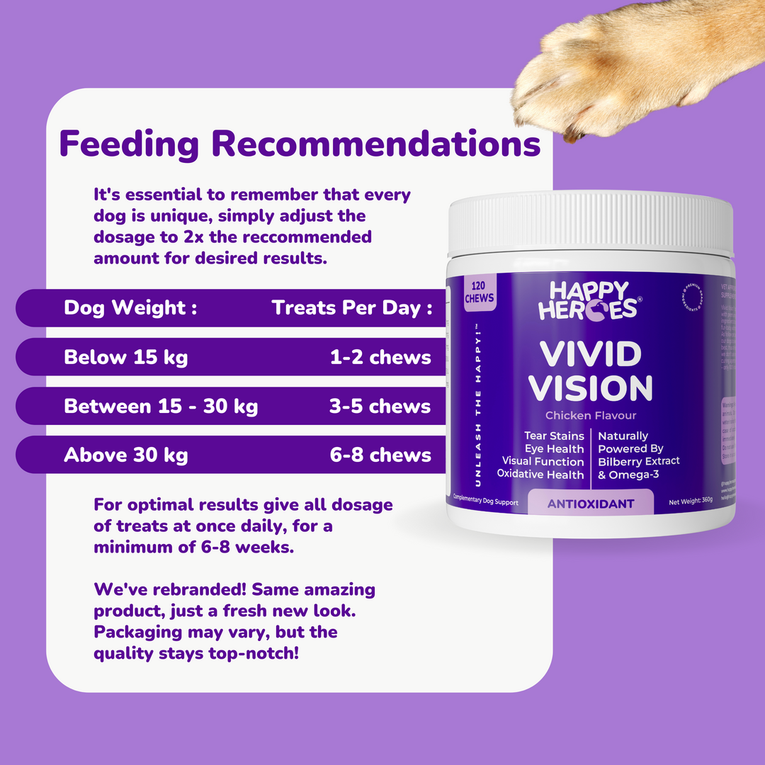 Vivid Vision Soft Chews - Happy Heroes