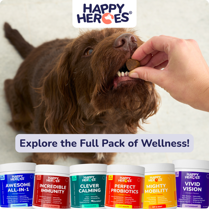 Clever Calming Dog Treats