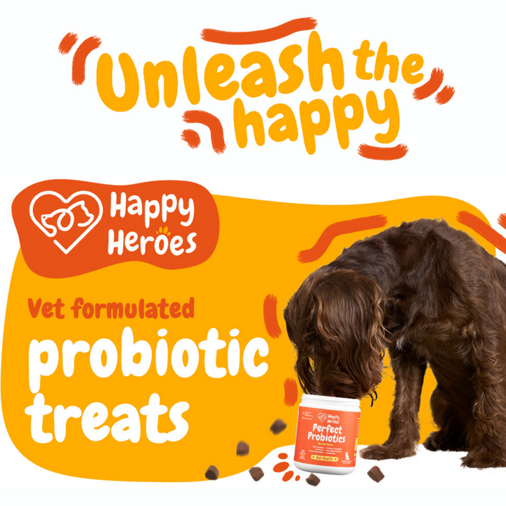 Perfect Probiotics Soft Chews