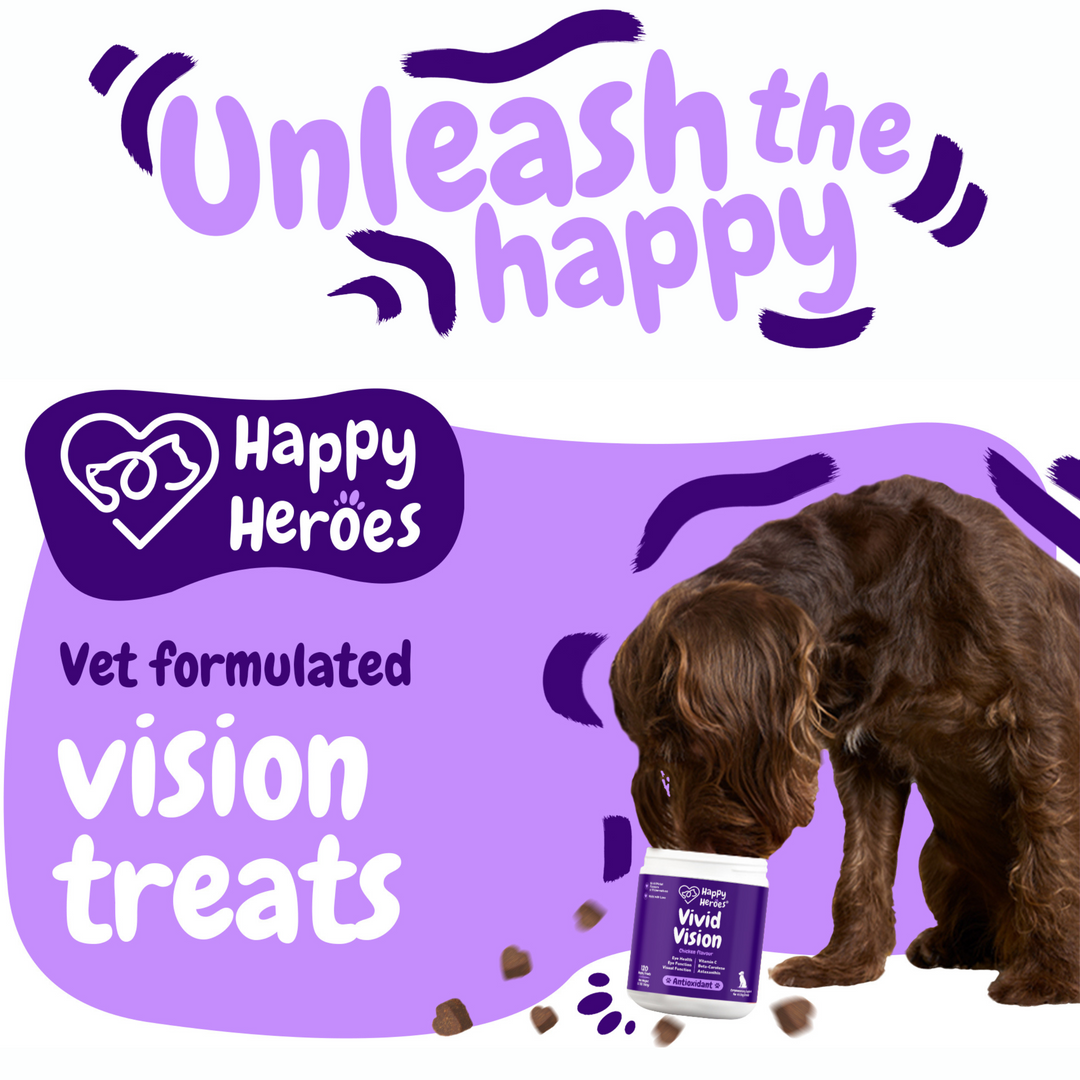 Vivid Vision Soft Chews