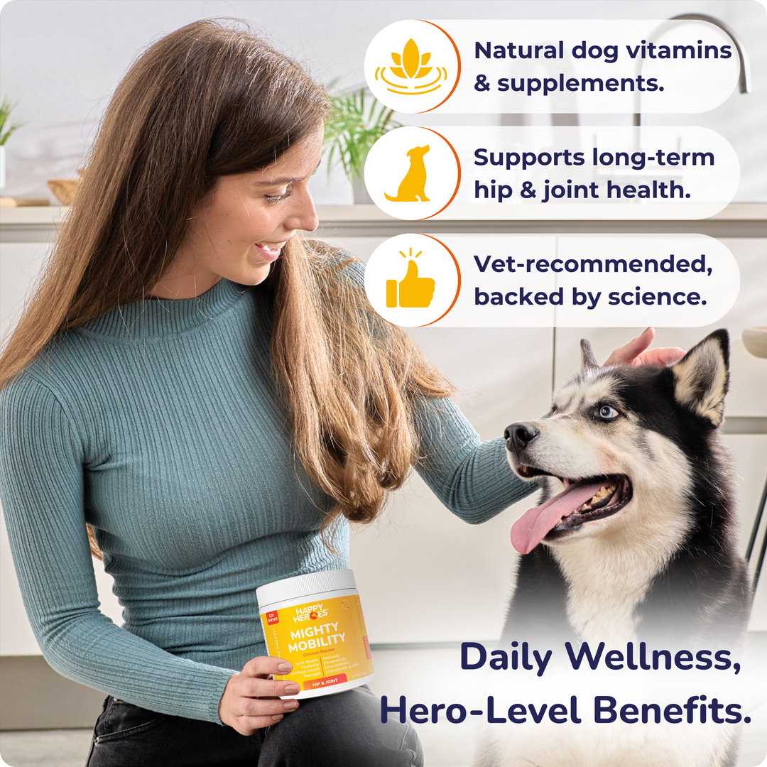 Mighty Mobility Dog Treats