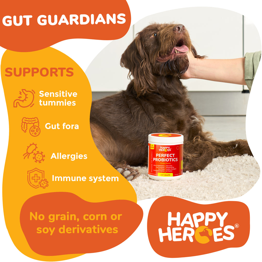 Perfect Probiotics Soft Chews