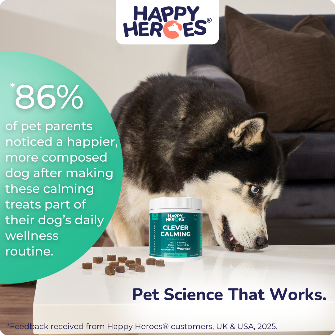 Clever Calming Dog Treats