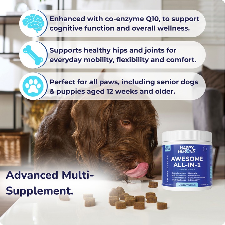 Awesome All-In-1 Dog Treats