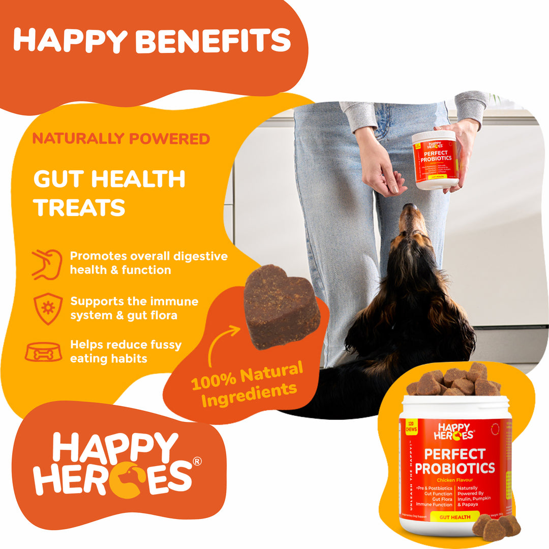 Perfect Probiotics Soft Chews