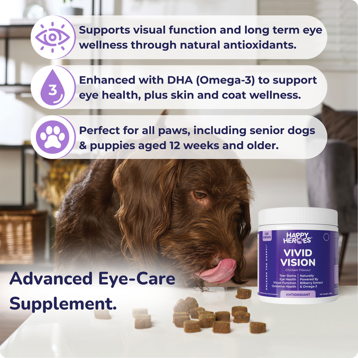 Vivid Vision Dog Treats