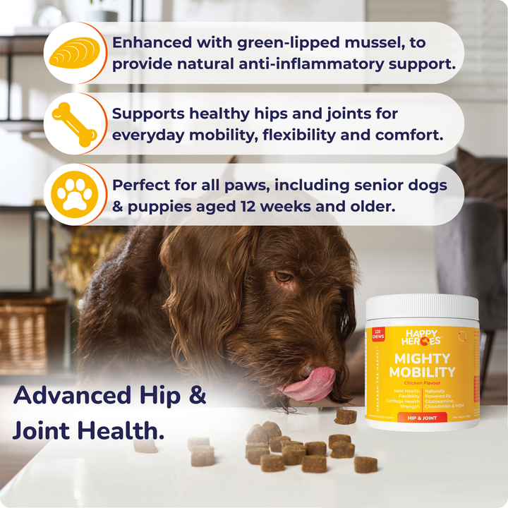 Mighty Mobility Dog Treats