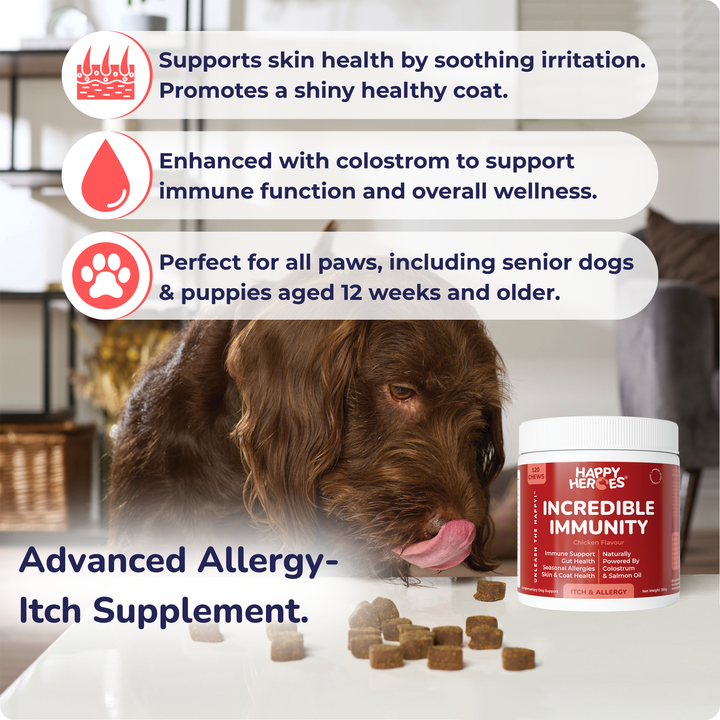 Incredible Immunity Dog Treats