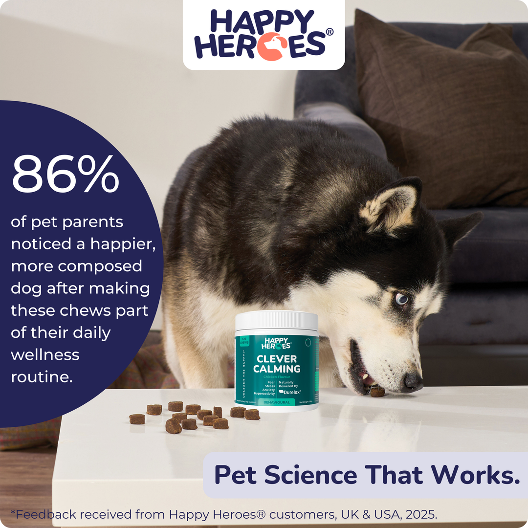 Clever Calming Dog Treats