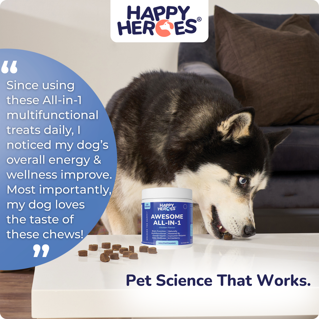 Awesome All-In-1 Dog Treats
