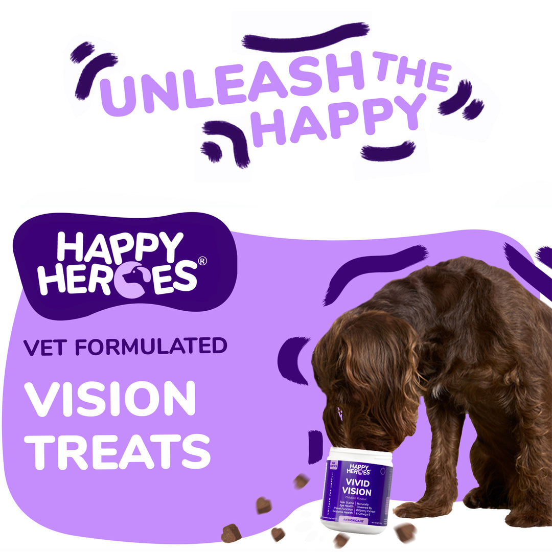 Vivid Vision Soft Chews - Happy Heroes