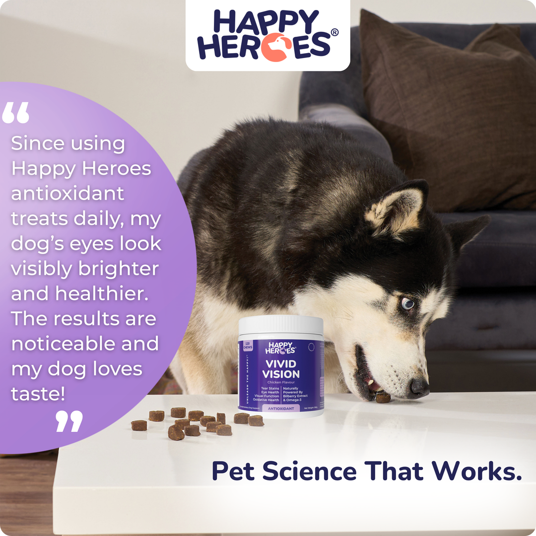 Vivid Vision Dog Treats