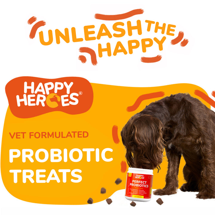 Perfect Probiotics Soft Chews