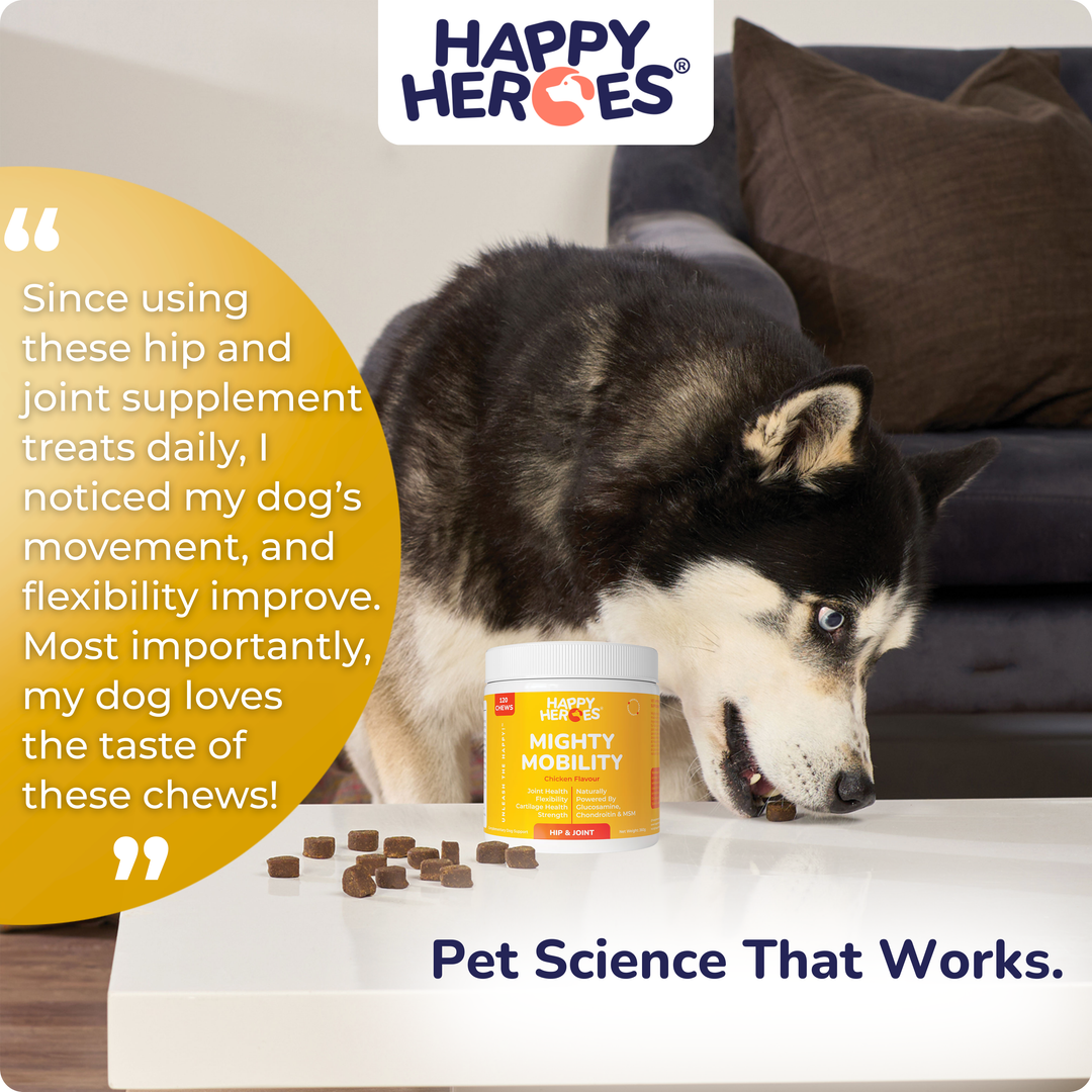 Mighty Mobility Dog Treats