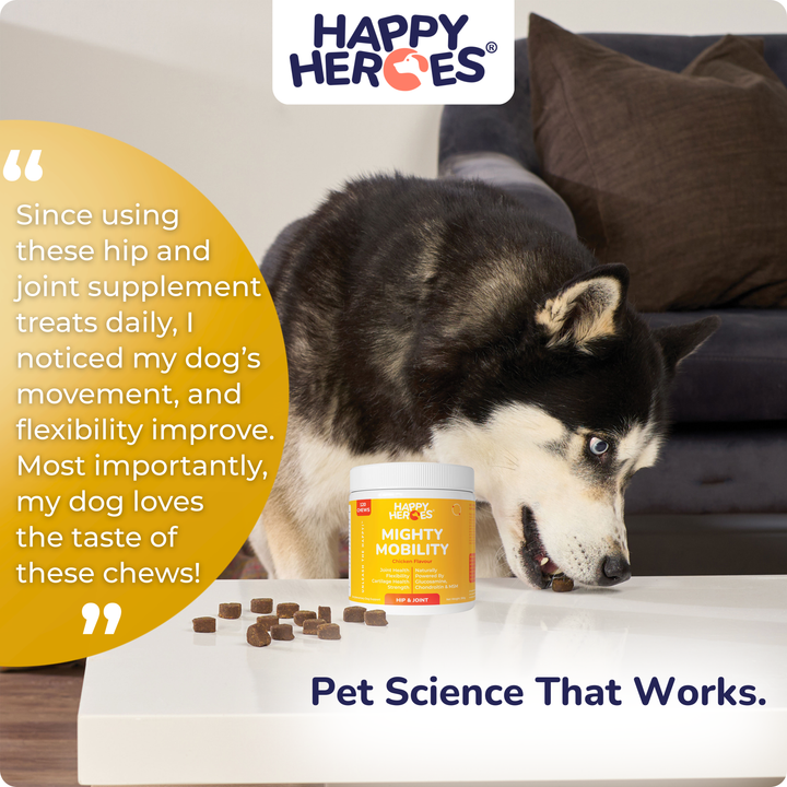 Mighty Mobility Dog Treats