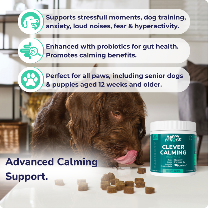 Clever Calming Dog Treats