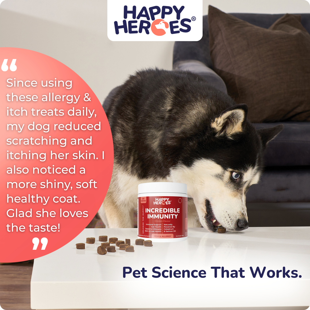 Incredible Immunity Dog Treats