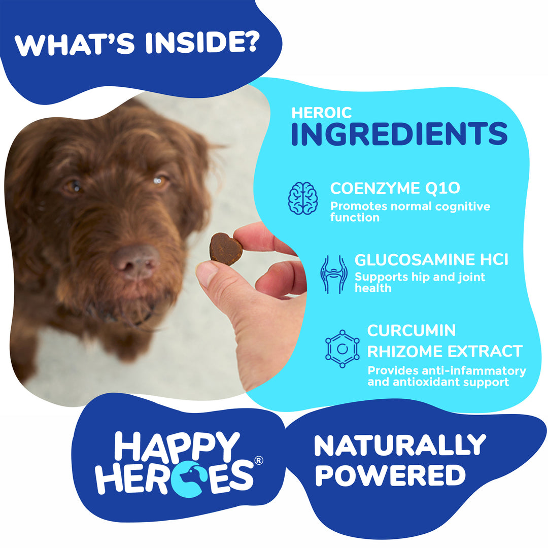 Awesome All-In-1 Soft Chews