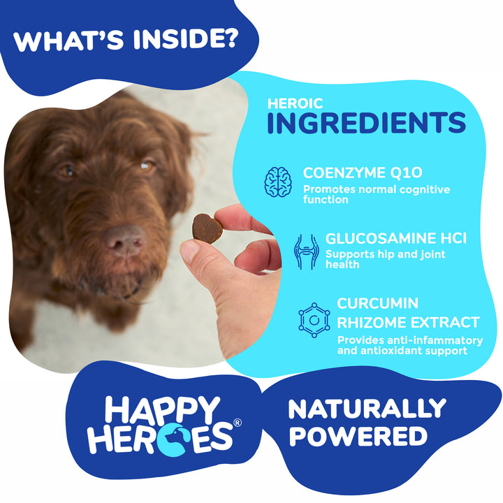 Awesome All-In-1 Soft Chews