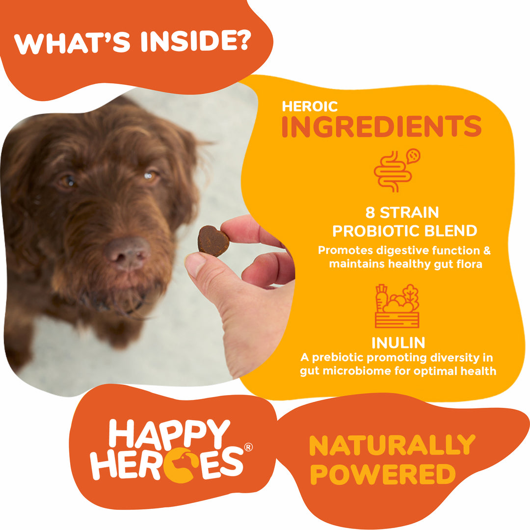 Perfect Probiotics Soft Chews