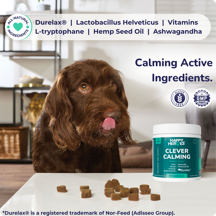 Clever Calming Dog Treats
