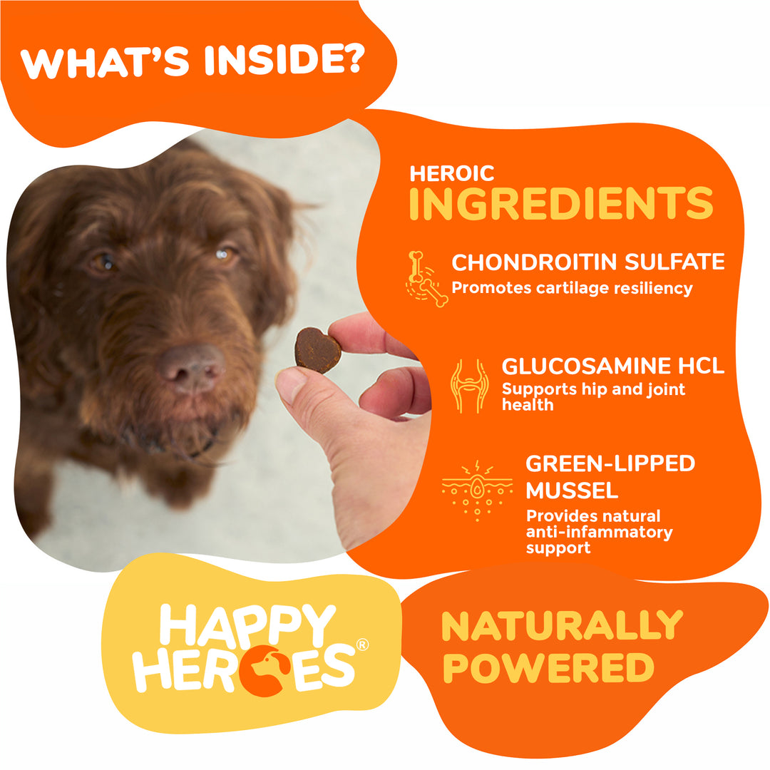 Mighty Mobility Soft Chews - Happy Heroes