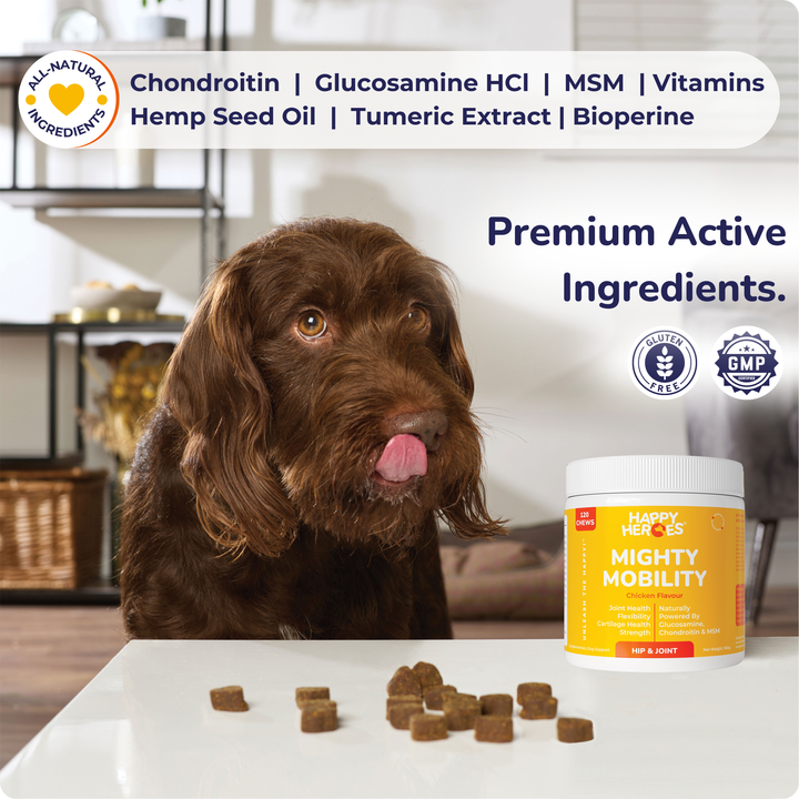 Mighty Mobility Dog Treats