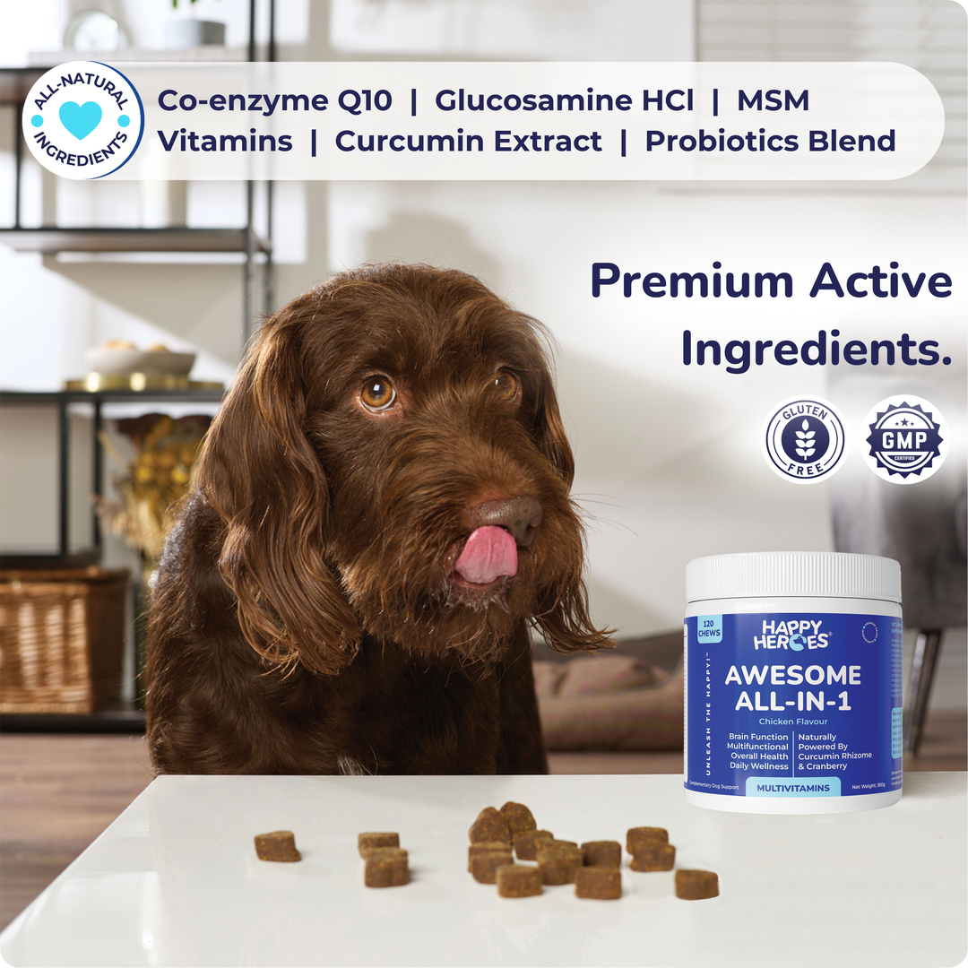 Awesome All-In-1 Dog Treats