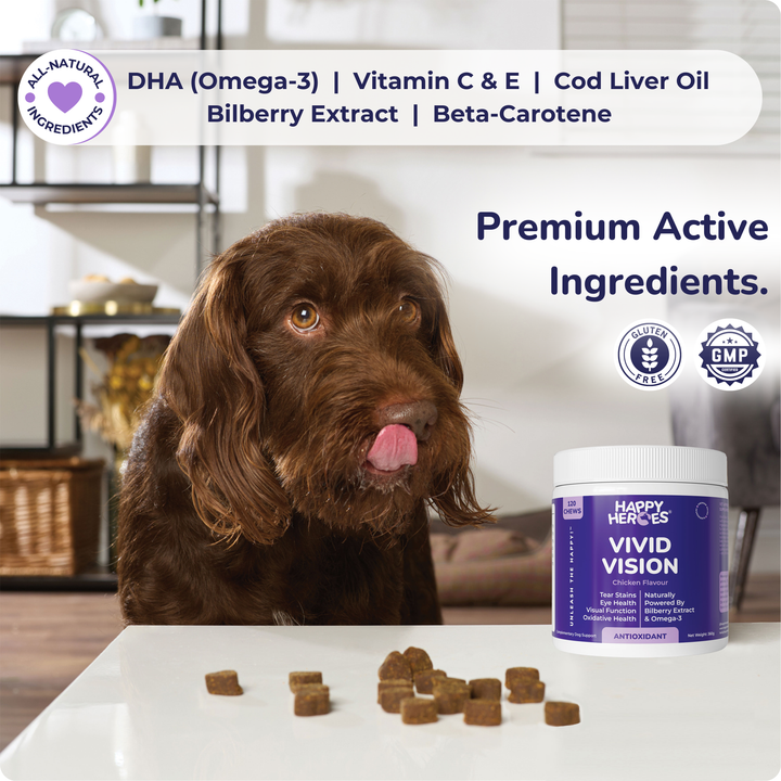 Vivid Vision Dog Treats