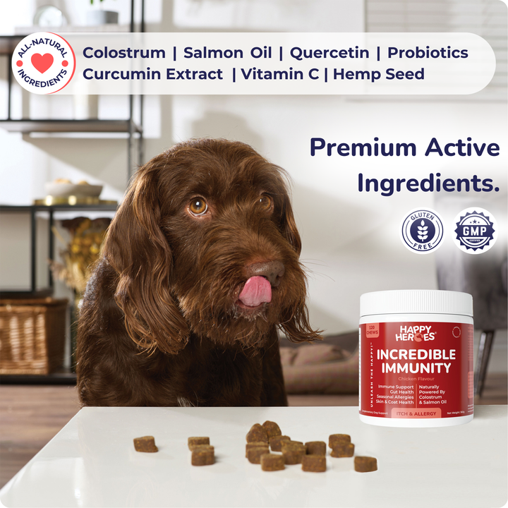 Incredible Immunity Dog Treats