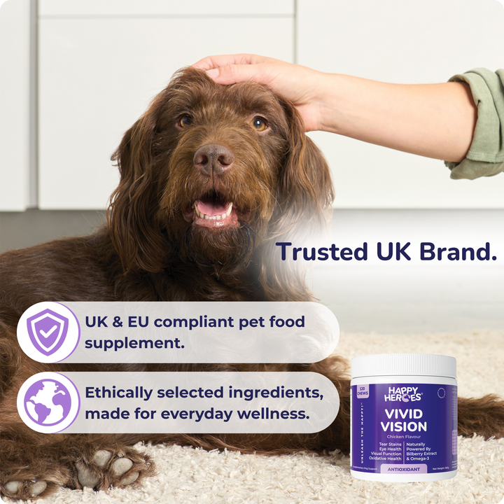 Vivid Vision Dog Treats