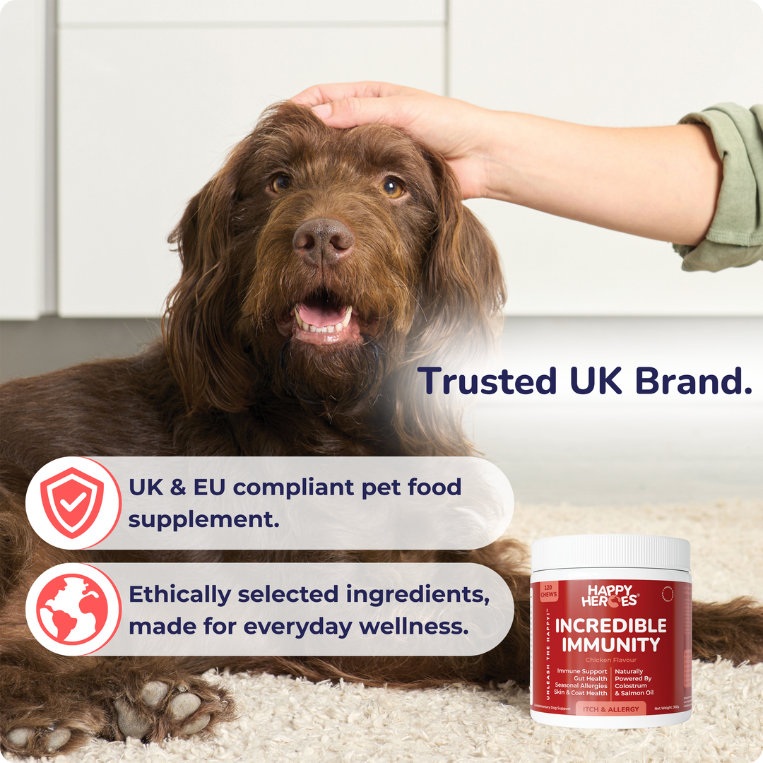 Incredible Immunity Dog Treats