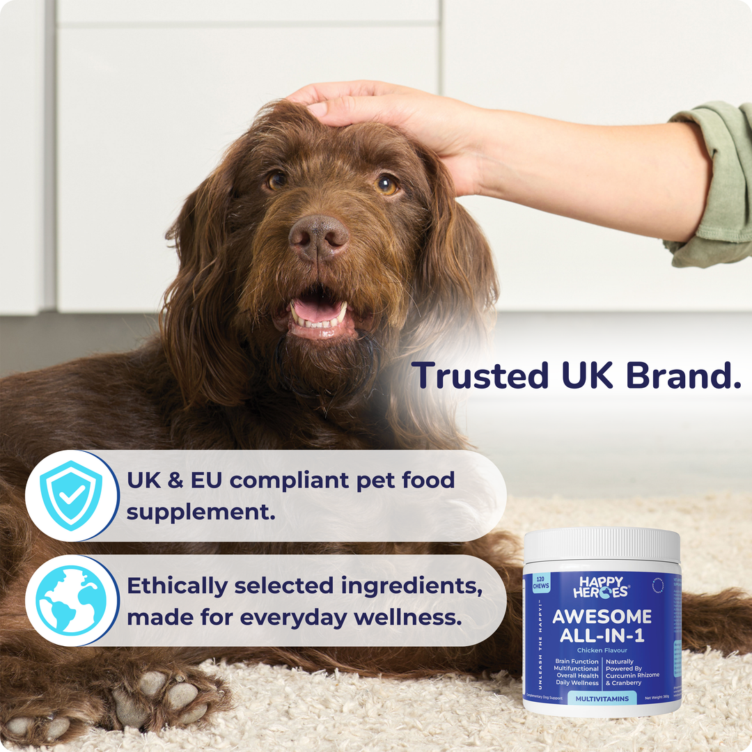 Awesome All-In-1 Dog Treats