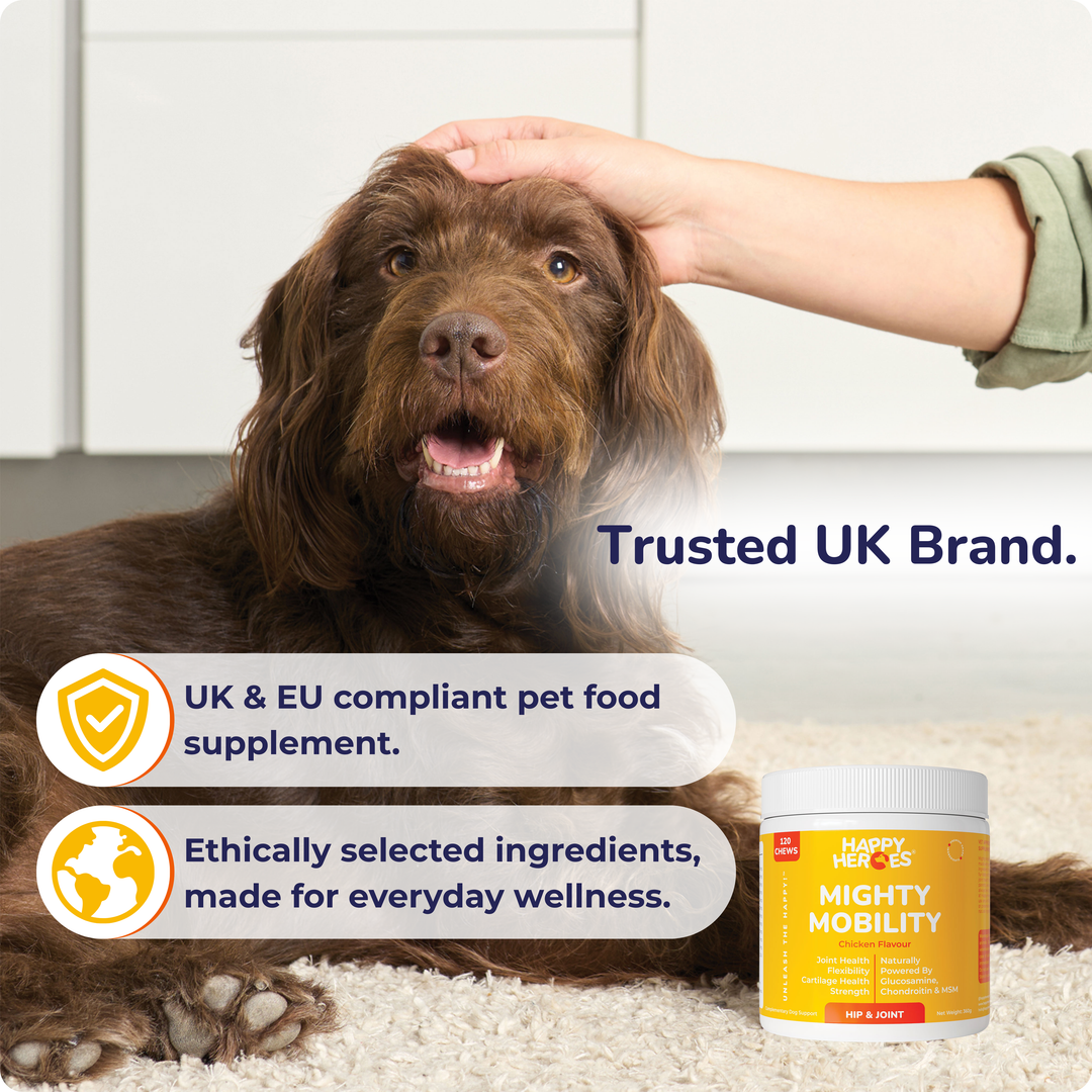 Mighty Mobility Dog Treats