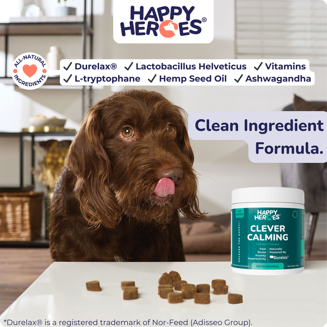Clever Calming Dog Treats