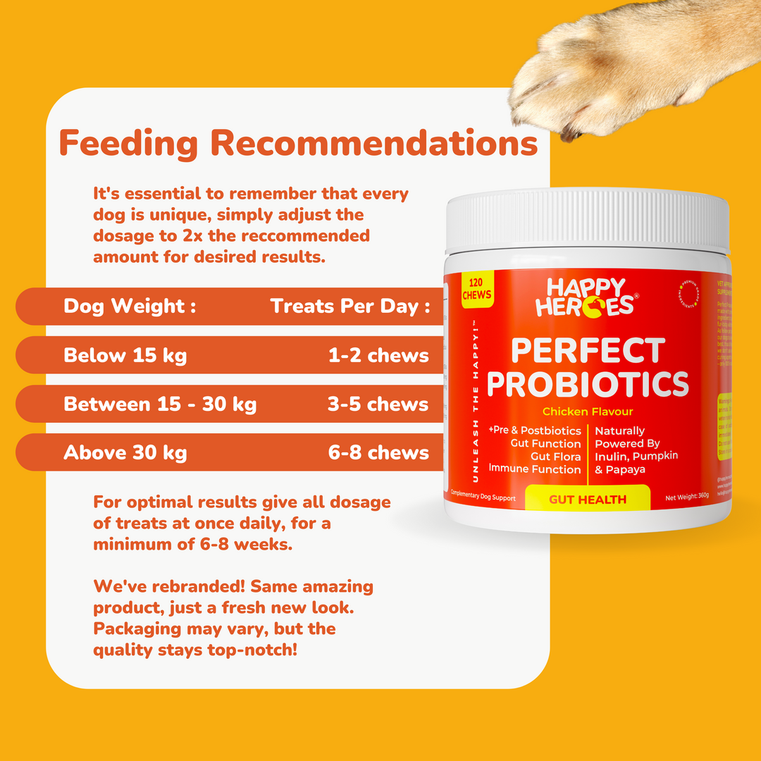 Perfect Probiotics Soft Chews - Happy Heroes