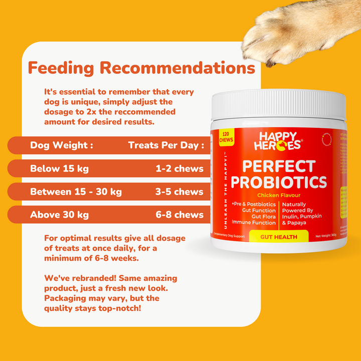 Perfect Probiotics Soft Chews - Happy Heroes