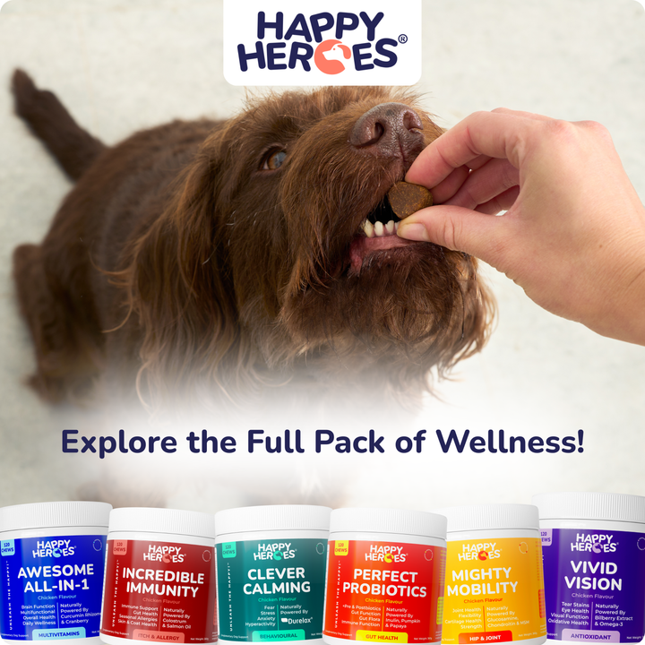 Awesome All-In-1 Dog Treats