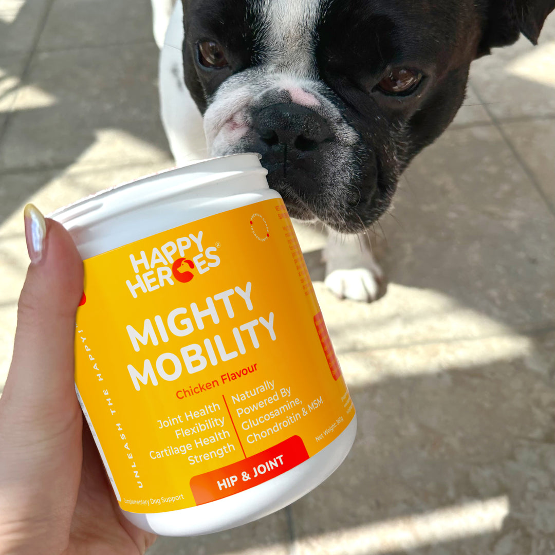 Mighty Mobility Soft Chews - Happy Heroes