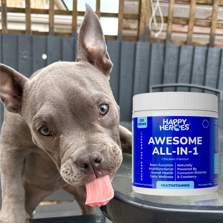 Awesome All-In-1 Soft Chews