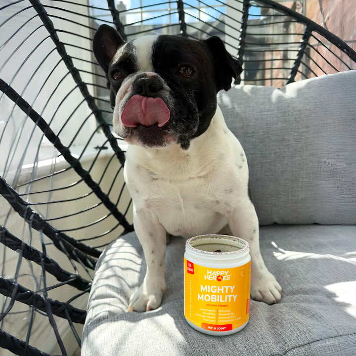 Mighty Mobility Soft Chews - Happy Heroes