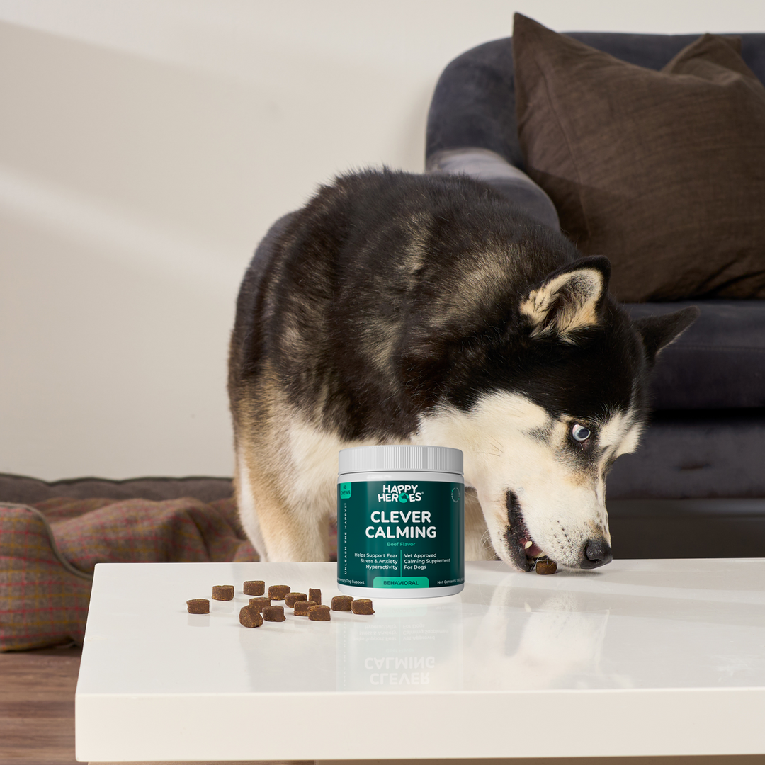 Clever Calming dog chews for fireworks, car rides and vet visits