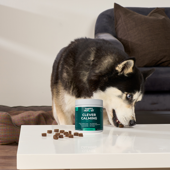 Clever Calming dog chews for fireworks, car rides and vet visits