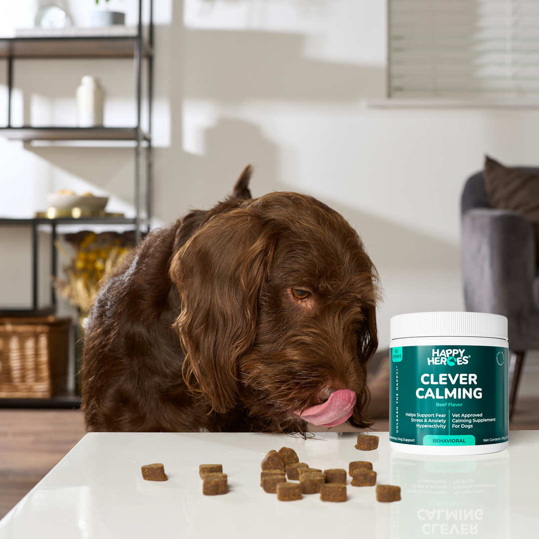 Happy Heroes Clever Calming chews for relaxed behavior in dogs
