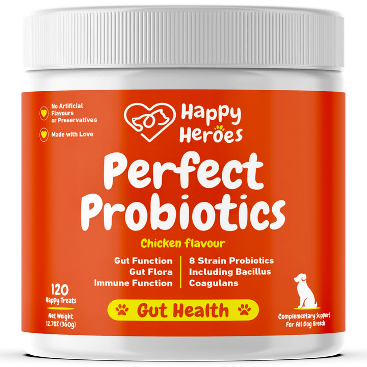 Perfect Probiotics Soft Chews