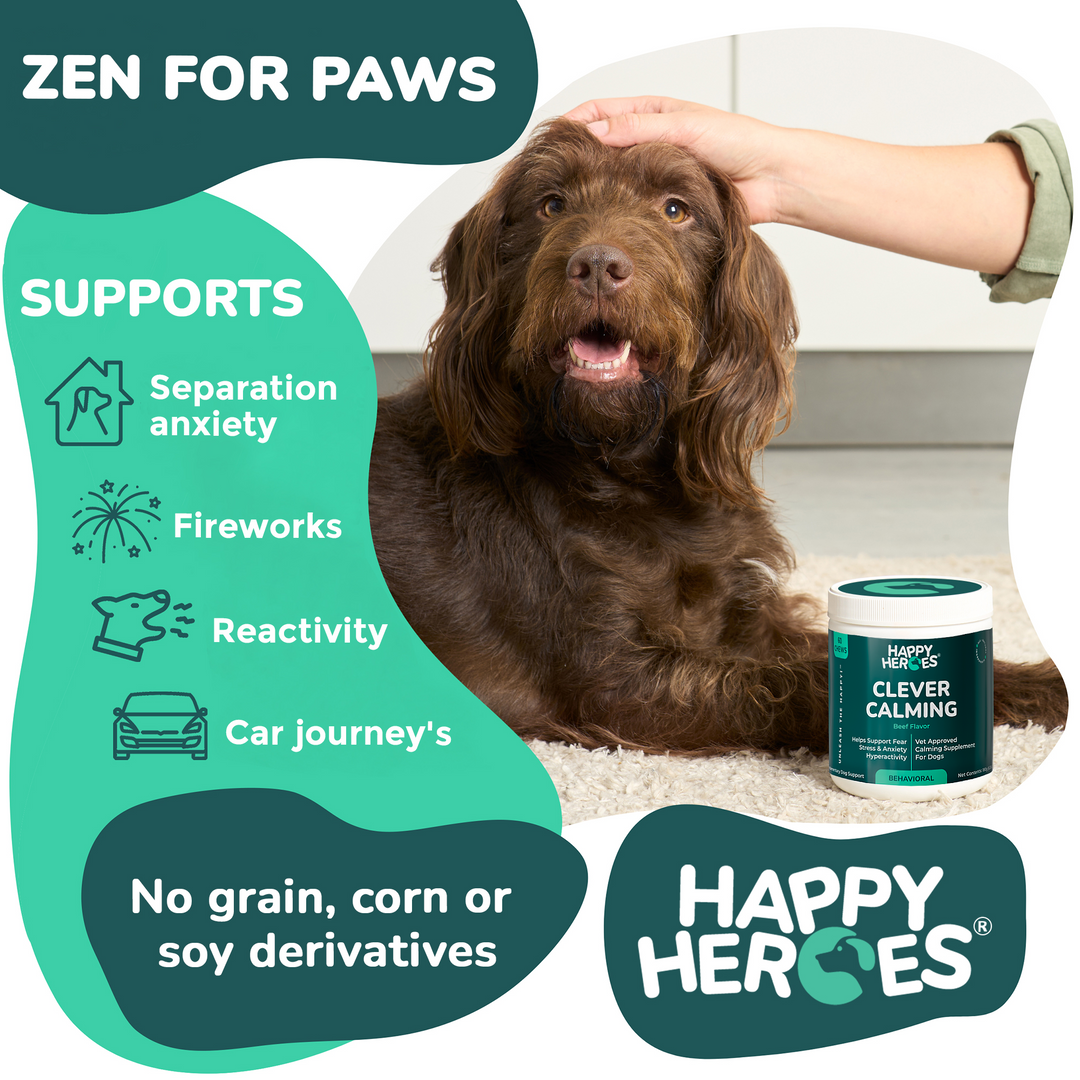 Calm dog with Happy Heroes Clever Calming chews